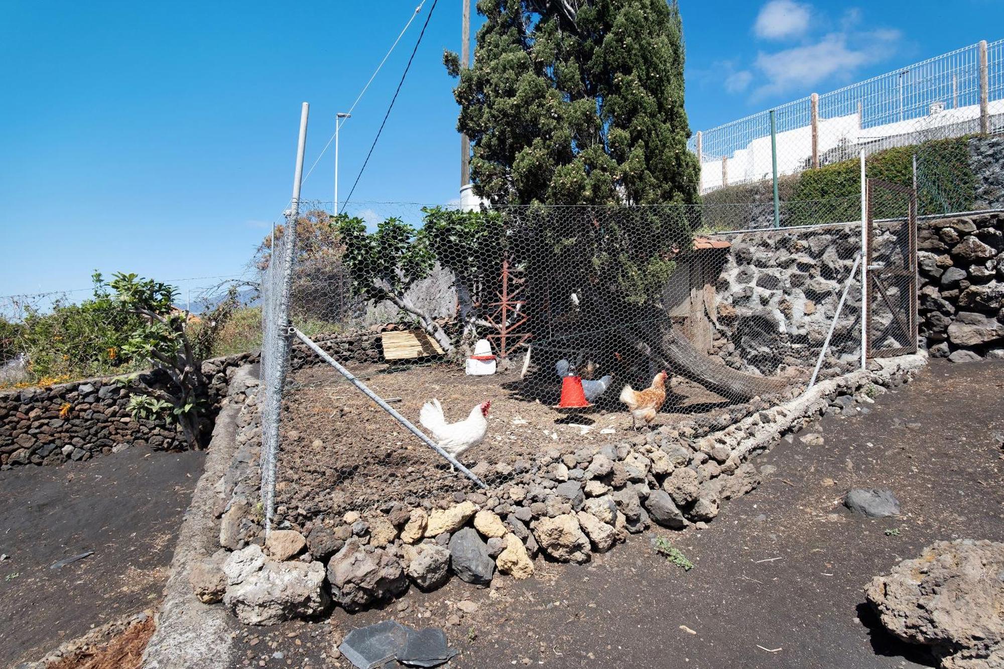 Villa Casa La Podona- A Jedey Esterno foto