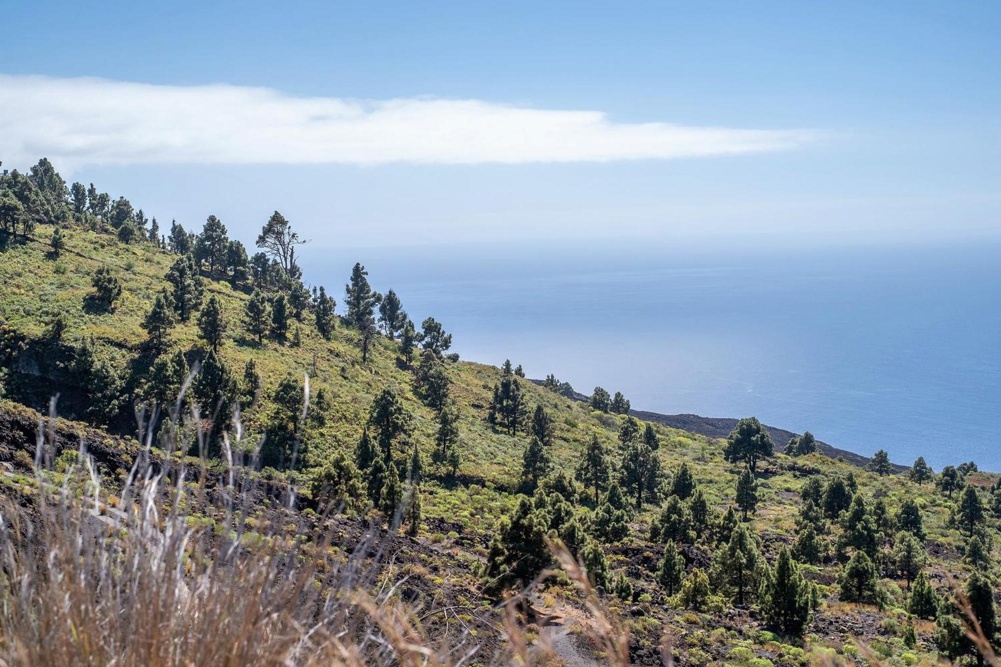 Villa Casa La Podona- A Jedey Esterno foto